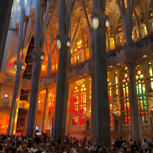 ALL PRICES ARE NEGOTIABLE - Picture 8 of 13